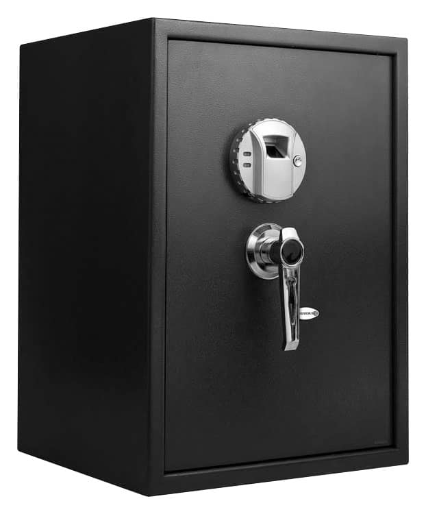 Large Biometric Safe