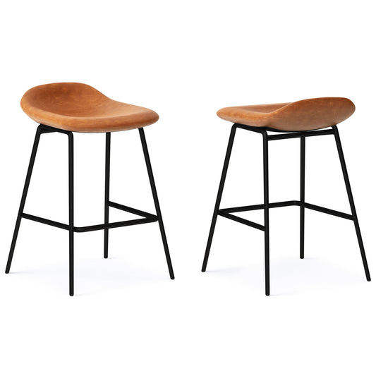 Dafney Counter Height Stool (Set of 2)