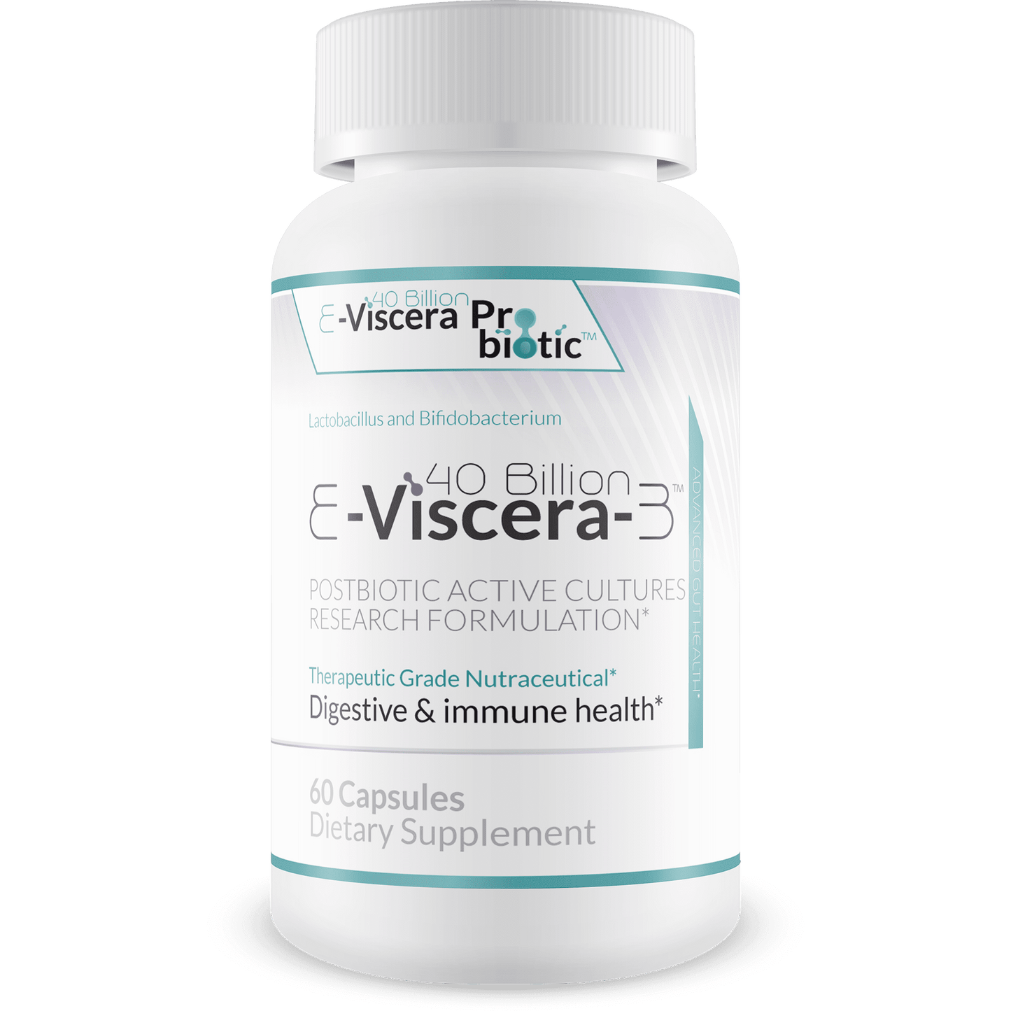 40 Billion E-Viscera-3 Probiotic Supplement - Postbiotic Active Cultures Research Formulation for Digestive and Immune Health - Therapeutic Grade Nutraceutical - 60 Veggie Capsules