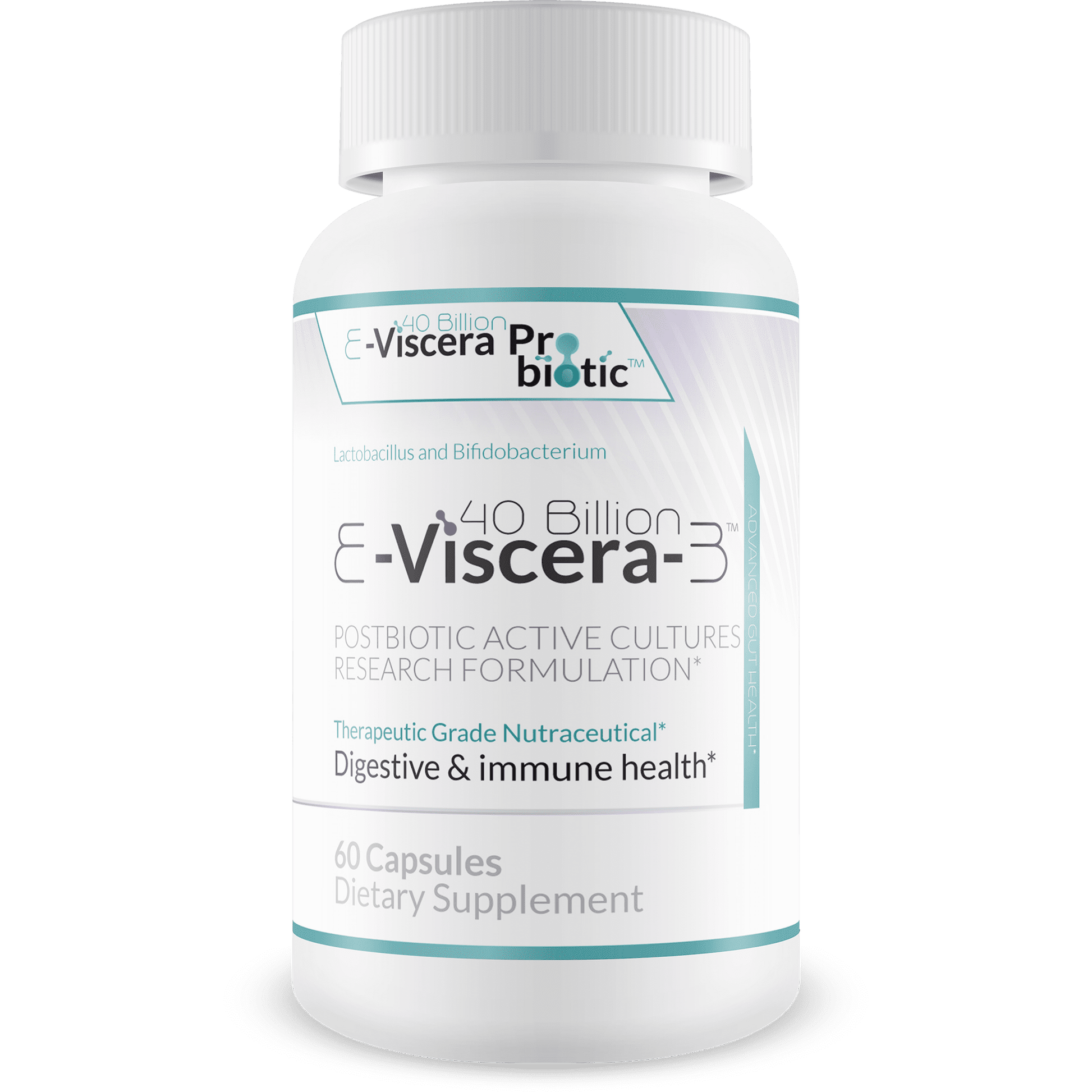 40 Billion E-Viscera-3 Probiotic Supplement - Postbiotic Active Cultures Research Formulation for Digestive and Immune Health - Therapeutic Grade Nutraceutical - 60 Veggie Capsules