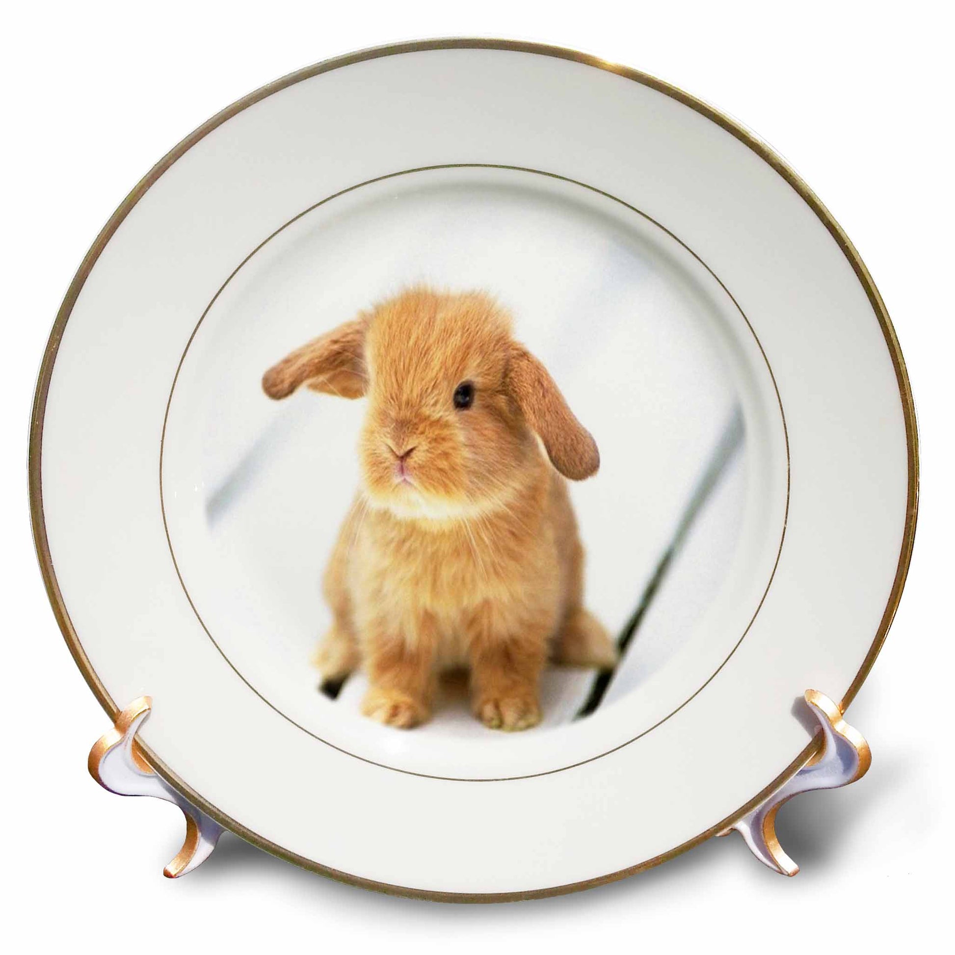 3dRose Adorable Barbara Bunny Rabbit, Porcelain Plate, 8-inch