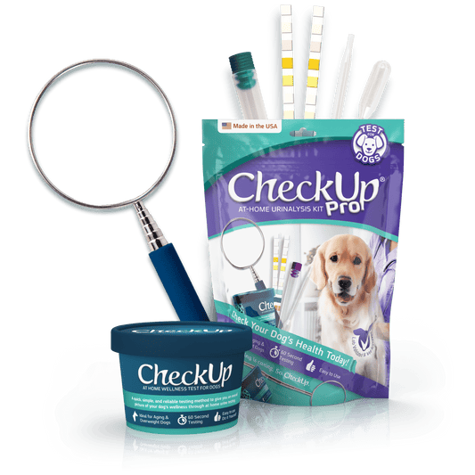 CheckUp Pro - Comprehensive at Home Wellness Test for Dogs | Telescopic Pole & Detachable Cup for Urine Collection and 2 Testing Strips for Detection of 10 Different Parameters…