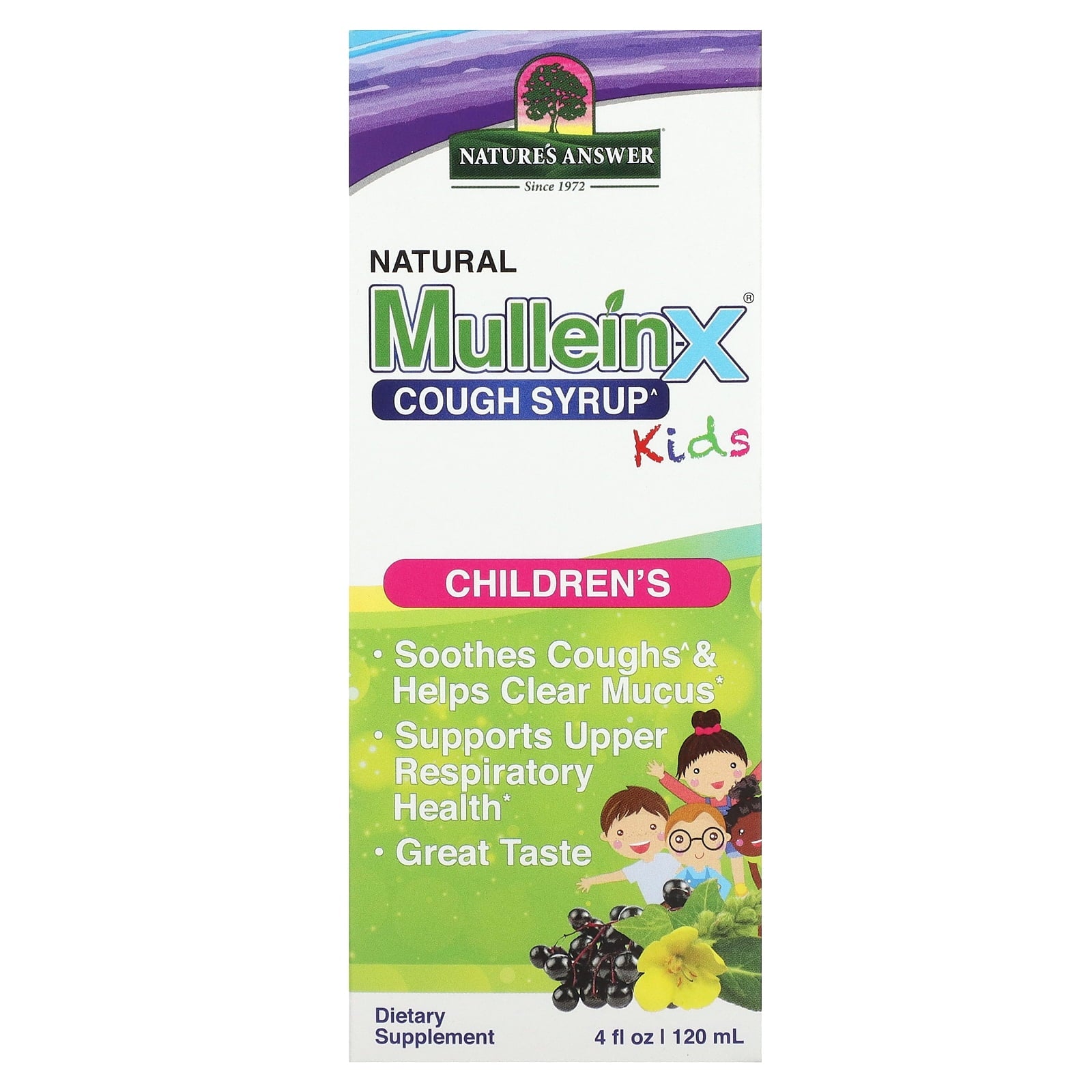 Nature's Answer Natural Mullein-X Cough Syrup, Kids, 4 fl oz (120 ml)