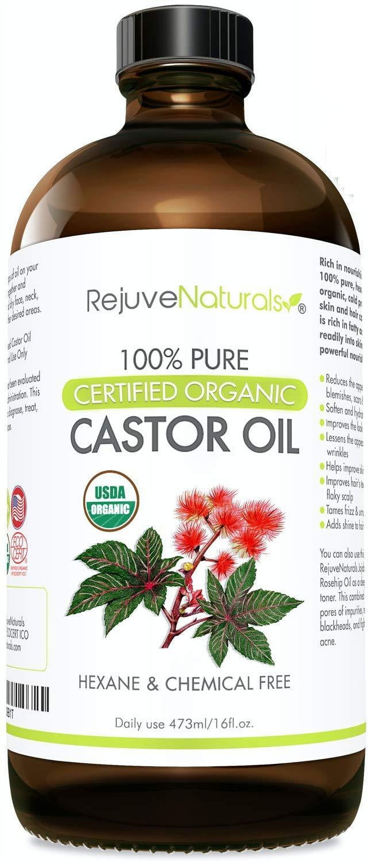 Organic Castor Oil 16oz Glass Bottle USDA Certified Organic 100 Pure Cold Pressed Hexane Free Boost Hair Growth for Hair Eyelashes Eyebrows Natural Dry Skin Moisturizer by RejuveNaturals