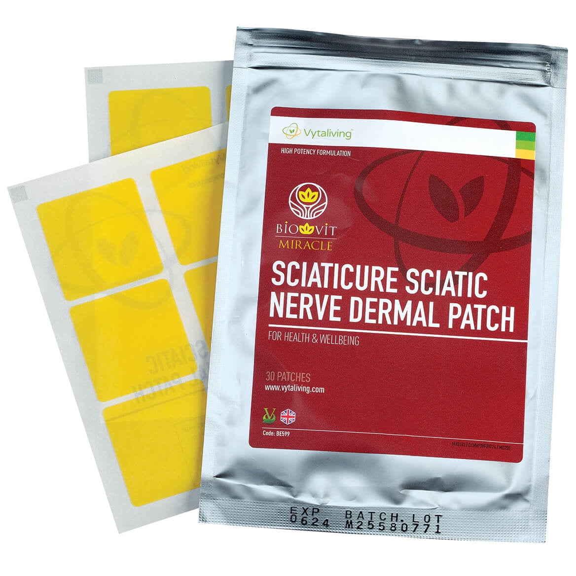 Sciatic Nerve Dermal Patches